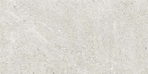 TOSCANA R3060 RECT GRIS 30X60 REC