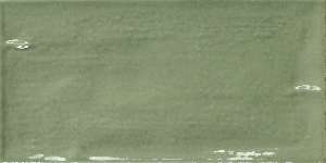 BELVEDERE AVOCADO 10X30