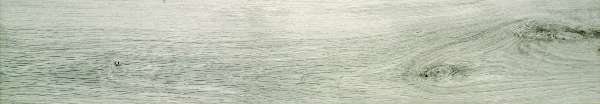 OREGON GRIS RECT 20X120
